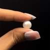 Freshwater Pearl 10.40mm Button/Rondelle Plain Smooth 1 Piece 5.65 Carats VVS1 Clarity Cream Color Drilled Pearly Luster Jewelry Making June Birthstone