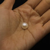 Fresh Water Pearl Button/Rondelle Plain Cut 10.5 mm VVS1 Clarity Cream Color June Birthstone