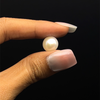 Fresh Water Pearl Button/Rondelle Plain Cut 10.5 mm VVS1 Clarity Cream Color June Birthstone