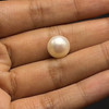 Freshwater Pearl 10.50mm Button/Rondelle Plain Smooth 1 Piece 5.36 Carats Flawless Clarity Cream Color Drilled Pearly Luster Jewelry Making June Birthstone