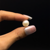 Freshwater Pearl 10.70mm Button/Rondelle Plain Smooth 1 Piece 6.77 Carats VVS1 Clarity Cream Color Drilled Pearly Luster Jewelry Making June Birthstone