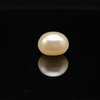 Freshwater Pearl 10.50mm Button/Rondelle Plain Smooth 1 Piece 6.21 Carats Flawless Clarity Cream Pink Color Drilled Pearly Luster Jewelry Making June Birthstone
