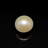 Freshwater Pearl 10.30mm Button/Rondelle Plain Smooth 1 Piece 6.21 Carats Flawless Clarity Cream Color Drilled Pearly Luster Jewelry Making June Birthstone