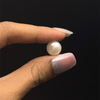 Freshwater Pearl 10.40mm Button/Rondelle Plain Smooth 1 Piece 6.78 Carats VVS2 Clarity Cream Color Drilled Pearly Luster Jewelry Making June Birthstone