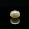 Freshwater Pearl 10.40mm Button/Rondelle Plain Smooth 1 Piece 6.41 Carats VVS2 Clarity Cream Color Drilled Pearly Luster Jewelry Making June Birthstone