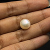 Freshwater Pearl 10.40mm Button/Rondelle Plain Smooth 1 Piece 6.41 Carats VVS2 Clarity Cream Color Drilled Pearly Luster Jewelry Making June Birthstone