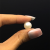 Freshwater Pearl 10.70mm Button/Rondelle Plain Smooth 1 Piece 6.43 Carats VVS2 Clarity Cream Color Drilled Pearly Luster Jewelry Making June Birthstone