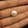 Freshwater Pearl 10.70mm Button/Rondelle Plain Smooth 1 Piece 6.01 Carats VVS1 Clarity Cream Color Drilled Pearly Luster Jewelry Making June Birthstone