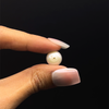 Freshwater Pearl 10.70mm Button/Rondelle Plain Smooth 1 Piece 6.01 Carats VVS1 Clarity Cream Color Drilled Pearly Luster Jewelry Making June Birthstone