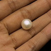 Freshwater Pearl 10.70mm Button/Rondelle Plain Smooth 1 Piece 5.93 Carats VVS2 Clarity Cream Color Drilled Pearly Luster Jewelry Making June Birthstone