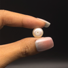 Fresh Water Pearl 11.0 mm Button/Rondelle Plain Cut FL Clarity Cream Color June Birthstone