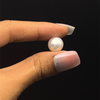Fresh Water Pearl 10.8 mm Button/Rondelle Plain Cut FL Clarity White Color June Birthstone