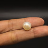 Freshwater Pearl 10.70mm Button/Rondelle Plain Smooth 1 Piece 7.72 Carats VVS2 Clarity Cream Color Drilled Pearly Luster Jewelry Making June Birthstone