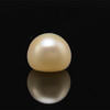 Freshwater Pearl 10.70mm Button/Rondelle Plain Smooth 1 Piece 7.72 Carats VVS2 Clarity Cream Color Drilled Pearly Luster Jewelry Making June Birthstone