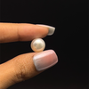 Freshwater Pearl 10.60mm Button/Rondelle Plain Smooth 1 Piece 7.38 Carats Flawless Clarity Cream Color Drilled Pearly Luster Jewelry Making June Birthstone