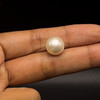 Freshwater Pearl 10.80mm Button/Rondelle Plain Smooth 1 Piece 7.29 Carats VVS2 Clarity White Color Drilled Pearly Luster Jewelry Making June Birthstone