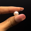 Fresh Water Pearl 9.80 mm Button/Rondelle Plain Cut VS Clarity Light Pink Color June Birthstone