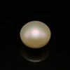 Fresh Water Pearl 10.5 mm Button/Rondelle Plain Cut VS Clarity Cream Color June Birthstone