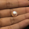 Fresh Water Pearl 10.3 mm Button/Rondelle Plain Cut VS Clarity Pink Color June Birthstone
