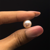 Fresh Water Pearl 10.3 mm Button/Rondelle Plain Cut VS Clarity Pink Color June Birthstone