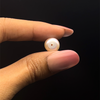 Fresh Water Pearl 10.0 mm Button/Rondelle Plain Cut Light Pink Color VS Clarity June Birthstone