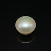 Freshwater Pearl 9.80mm Button/Rondelle Plain Smooth 1 Piece 5.79 Carats VVS2 Clarity White Color Drilled Pearly Luster Jewelry Making June Birthstone
