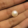 Freshwater Pearl 9.70mm Button/Rondelle Plain Smooth 1 Piece 4.98 Carats VS Clarity White Color Drilled Pearly Luster Jewelry Making June Birthstone