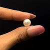 Freshwater Pearl 9.80mm Button/Rondelle Plain Smooth 1 Piece 5.19 Carats VVS2 Clarity White Color Drilled Pearly Luster Jewelry Making June Birthstone