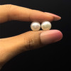 Freshwater Pearl 9.70mm Button/Rondelle Plain Smooth 2 Piece 9.65 Carats VS Clarity White Color Drilled Pearly Luster Jewelry Making June Birthstone