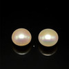 Freshwater Pearl 10.10mm Button/Rondelle Plain Smooth 2 Piece 11.15 Carats VS Clarity White Color Drilled Pearly Luster Jewelry Making June Birthstone