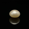 Freshwater Pearl 10.40mm Button/Rondelle Plain Smooth 1 Piece 5.68 Carats VS Clarity White Color Drilled Pearly Luster Jewelry Making June Birthstone