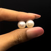 Freshwater Pearl 9.70mm Button/Rondelle Plain Smooth 2 Piece 11.06 Carats VVS2 Clarity White Color Drilled Pearly Luster Jewelry Making June Birthstone