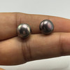 Freshwater Pearl 9.50mm Button/Rondelle Plain Smooth 2 Piece 10 Carats VVS2 Clarity Eggplant Color Drilled Pearly Luster Jewelry Making June Birthstone