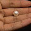 Freshwater Pearl 10mm Button/Rondelle Plain Smooth 1 Piece 5.92 Carats VVS1 Clarity Cream Color Drilled Pearly Luster Jewelry Making June Birthstone