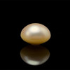 Freshwater Pearl 10mm Button/Rondelle Plain Smooth 1 Piece 4.77 Carats Flawless Clarity Cream Color Drilled Pearly Luster Jewelry Making June Birthstone