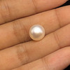Freshwater Pearl 9.70mm Button/Rondelle Plain Smooth 1 Piece 4.66 Carats VVS1 Clarity Cream Color Drilled Pearly Luster Jewelry Making June Birthstone