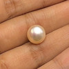 Freshwater Pearl 10.30mm Button/Rondelle Plain Smooth Single Piece 5.96 Carats Flawless Clarity Cream Color Drilled Pearly Luster Jewelry Making June Birthstone