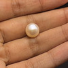 Freshwater Pearl 9.70mm Button/Rondelle Plain Smooth Single Piece 5.67 Carats Flawless Clarity Cream Color Drilled Pearly Luster Jewelry Making June Birthstone