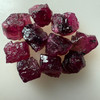 Natural Rubellite Earth mined 30.83 Cts Uncut rough 11 PC Deep Raspberry Color 10-8L/7-6W mm VVS Clarity Rough Gemstone