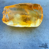 Natural Citrine Rough Uncut Gemstone 36.15 Carats 2 Pcs Golden Yellow Color VVS Clarity | Faceting & Lapidary