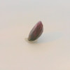 Natural Ruby Precious Gemstone | 12x10mm Oval Facet Cut SI Clarity Merlot Red Color 5.63 Carat Loose Stone | July Birthstone