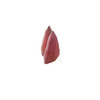 Natural Ruby Gemstone | Pear Facet Cut 18.75 Carat VVS Clarity 2 Pcs Glass Filled Burgundy Red Color 15x11.5mm Loose Stones | July Birthstone