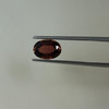 Natural Pink Tourmaline Oval German Facet Cut 2.29 Cts VVS Clarity 10x7mm | Rosewood Color Brazil October Birthstone | Loose Gemstone