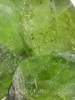 Peridot rocks Afghanistan Loose Peridot Natural Earth-mined Facet Quality