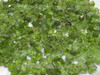 Natural Peridot Extra Fine Graded Rocks Facet Quality Rare Find Sapat Mines Loose Rough