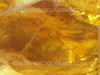 Natural Citrine Brazil Rare Rough Earth-mined Old mines Fine Facet Quality