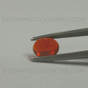 Finest Intense Orange Color Opal Oval Shape 8.6x7 mm Mexico origin Play of Colors Opal