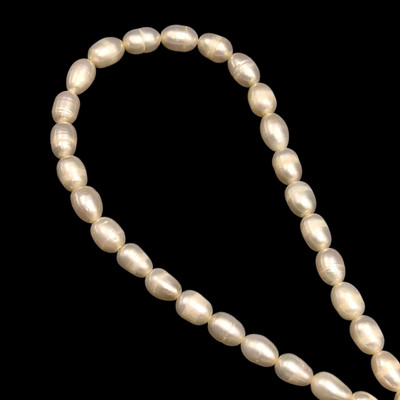 Freshwater Pearl 8x5mm Button/Drop Smooth Cut Ivory Color 15" Strand
