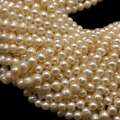 Freshwater Pearl 7x6mm Smooth Button Cream Ringed Cut 15.5" Necklace Strand