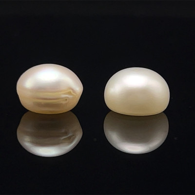 Freshwater Pearl 8.80mm Button/Rondelle Plain Smooth 2 Piece 7.14 Carats VVS Clarity Cream Color Drilled Pearly Luster Jewelry Making June Birthstone